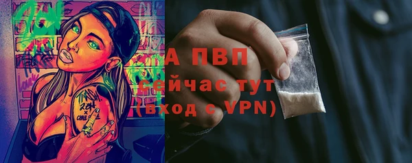 тгк Богданович